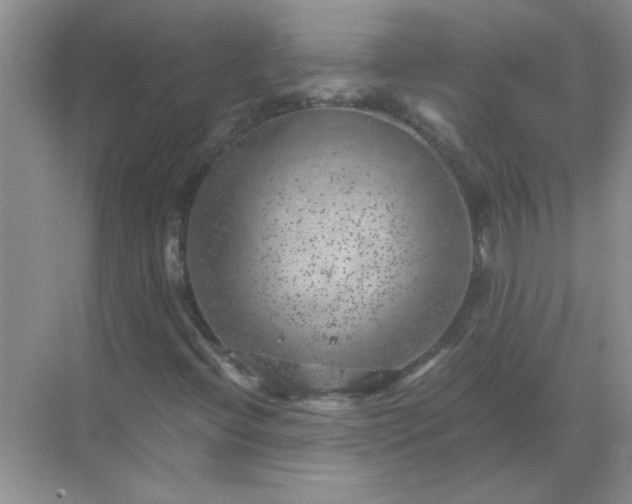 X0000068901396200605192149