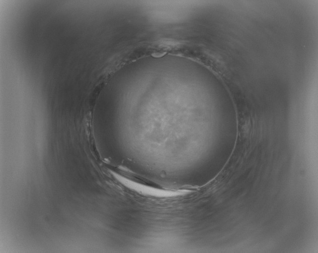 X0000068901397200605192149