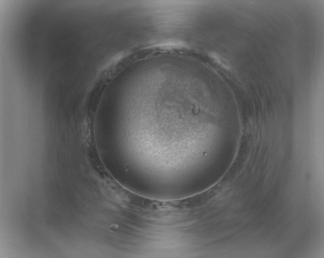 X0000068901398200605192149