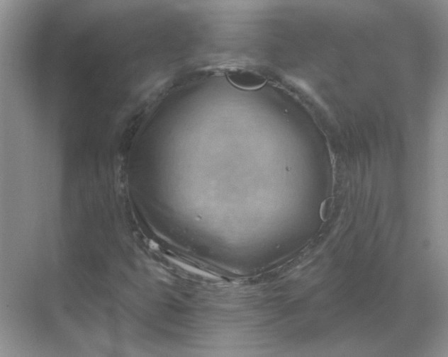 X0000068901399200605192149