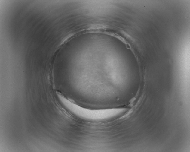 X0000068901401200605192149