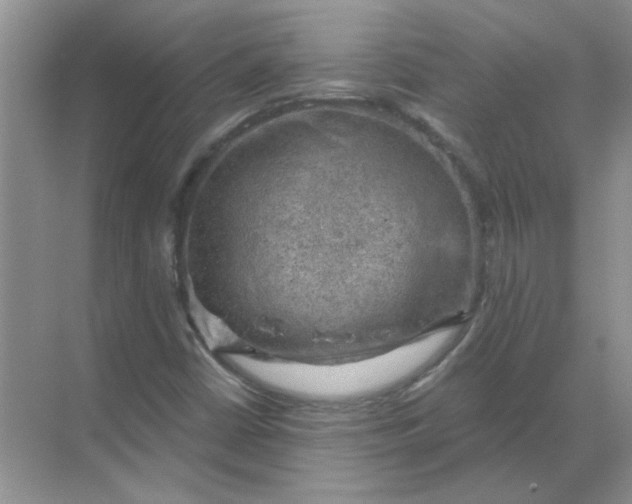 X0000068901402200605192149