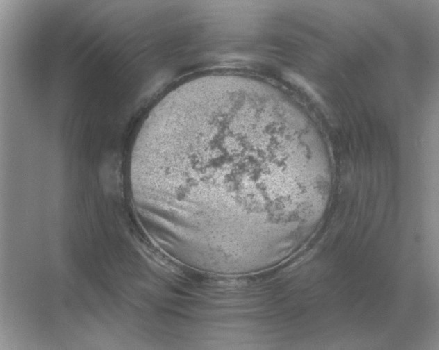 X0000068901403200605192149