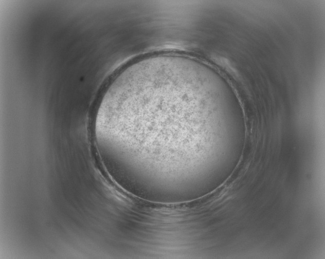 X0000068901404200605192149