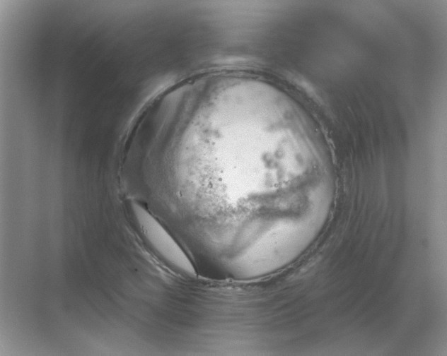 X0000068901405200605192149