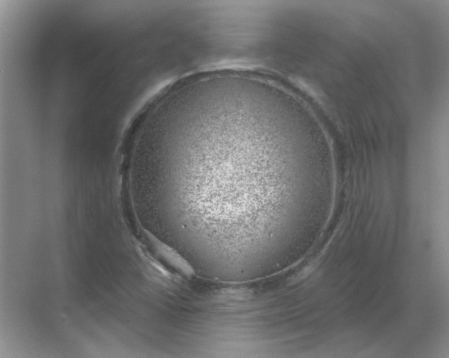 X0000068901406200605192149