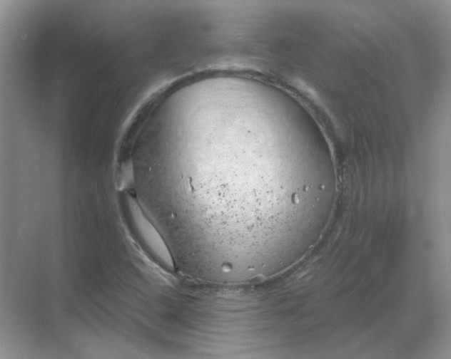 X0000068901408200605192149