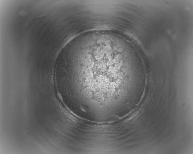 X0000068901409200605192149