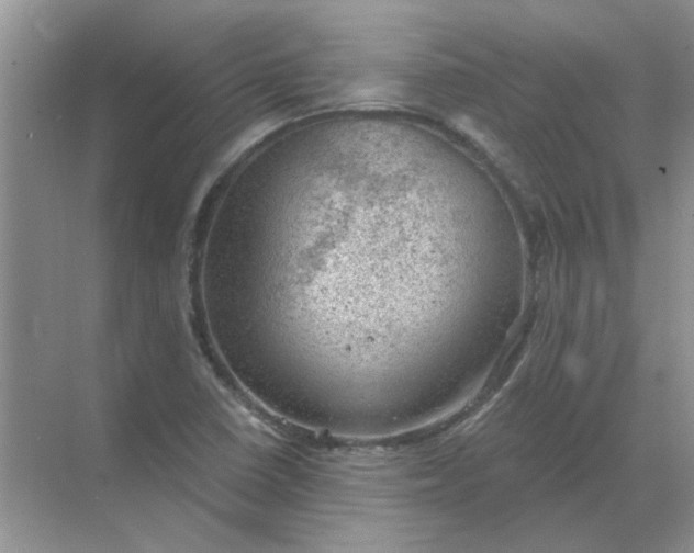 X0000068901410200605192149