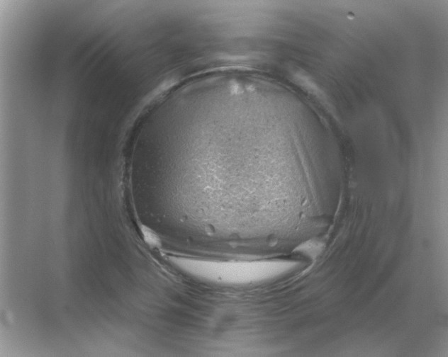 X0000068901411200605192149