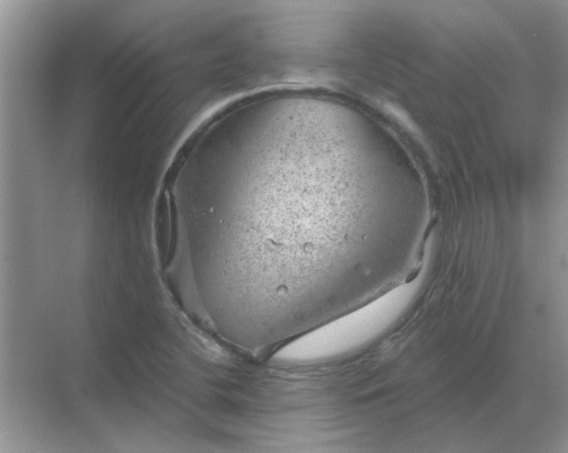 X0000068901412200605192149