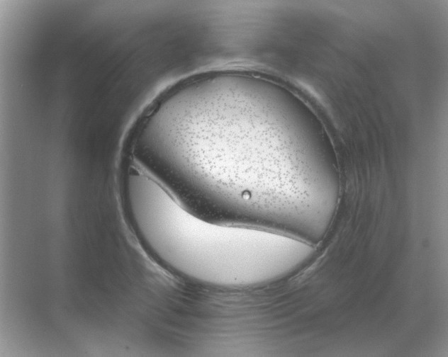 X0000068901414200605192149