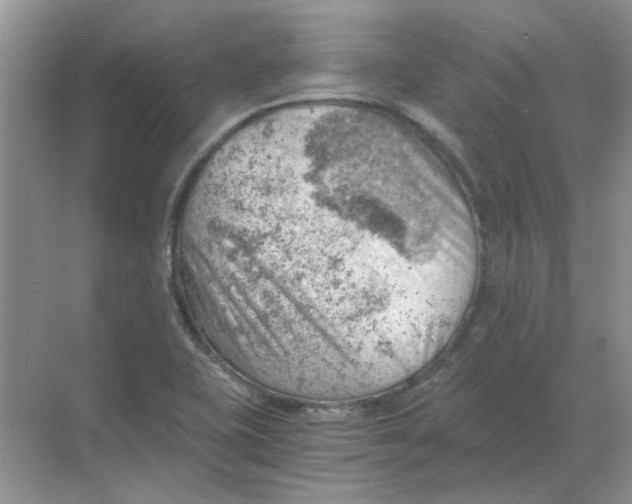 X0000068901415200605192149