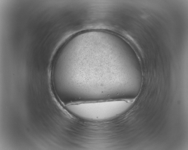 X0000068901416200605192149