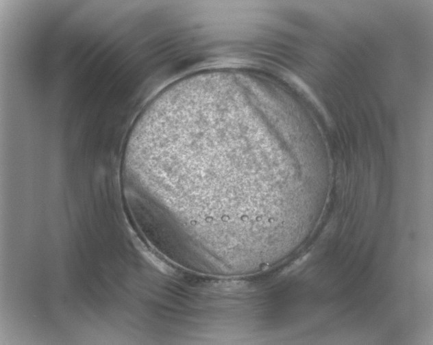 X0000068901417200605192149