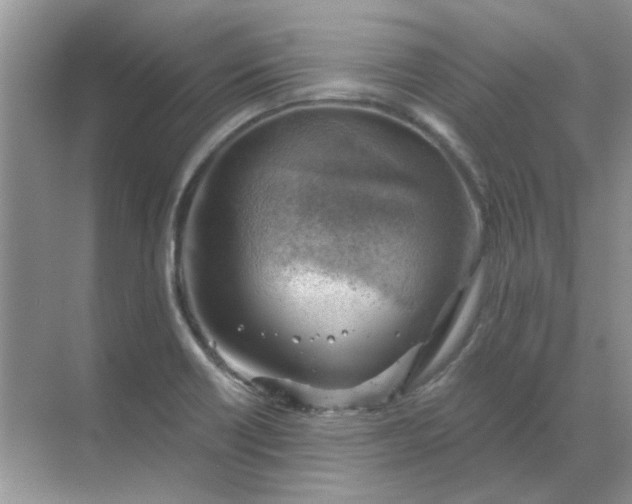 X0000068901418200605192149