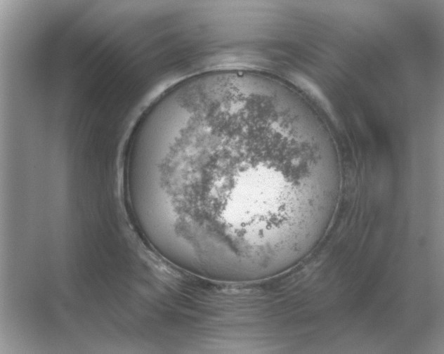 X0000068901419200605192149