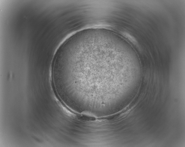 X0000068901420200605192149