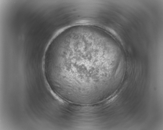 X0000068901421200605192149