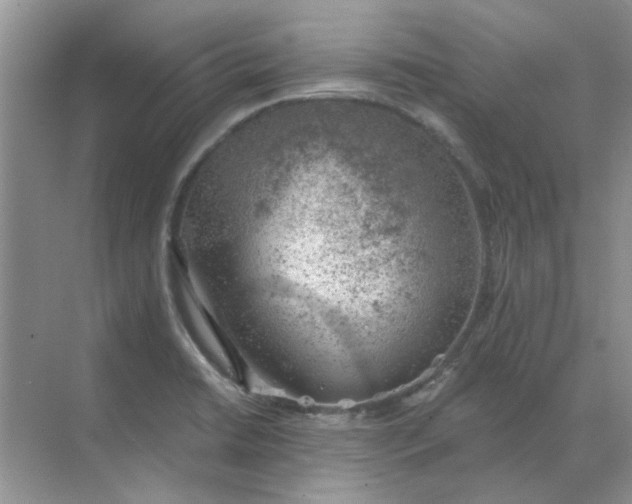 X0000068901422200605192149