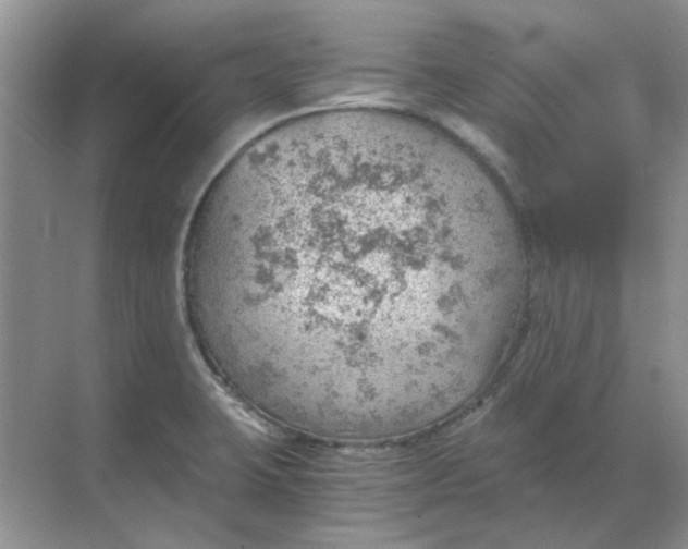 X0000068901423200605192149