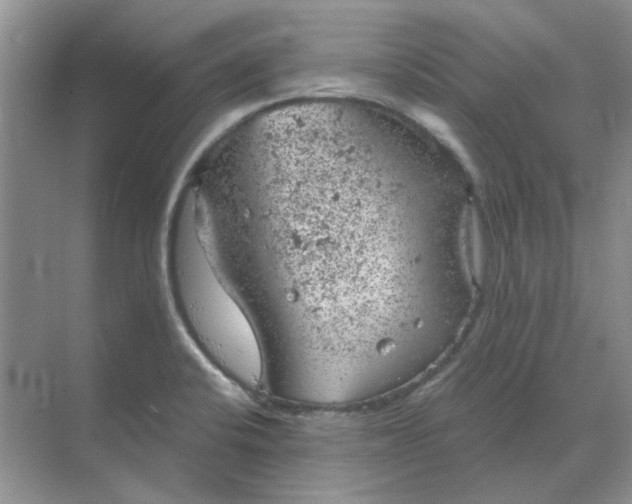 X0000068901424200605192149