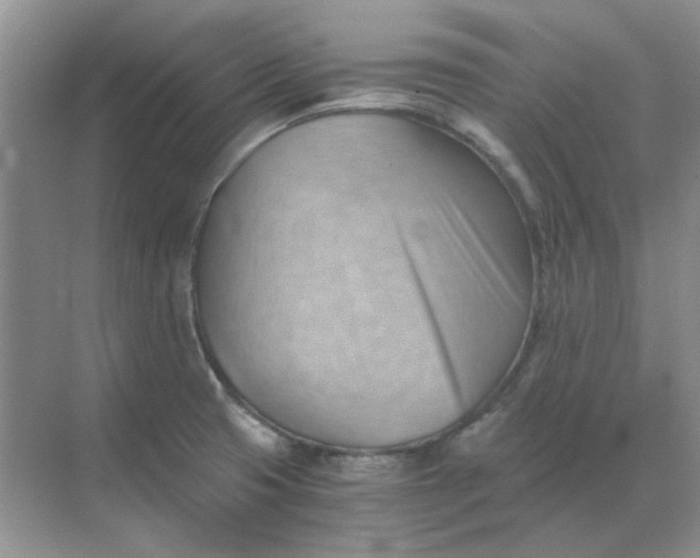 X0000068901425200605192149