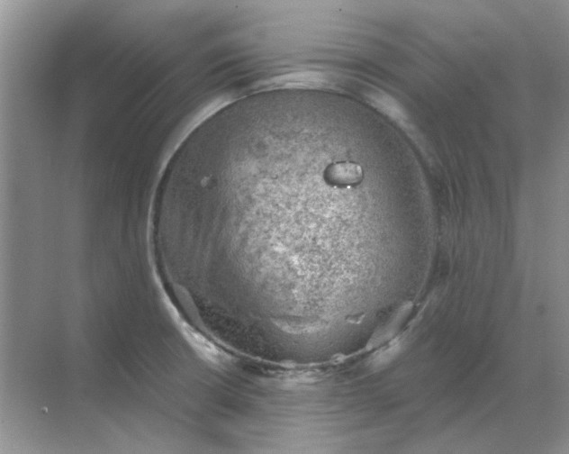 X0000068901426200605192149