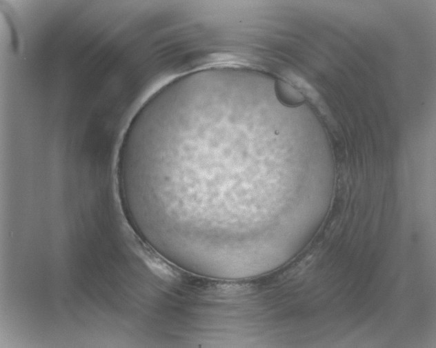 X0000068901427200605192149