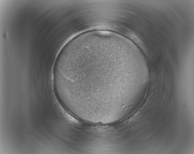 X0000068901428200605192149