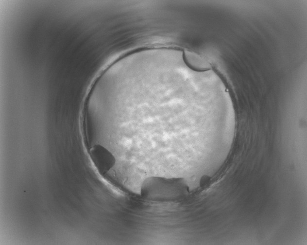 X0000068901429200605192149