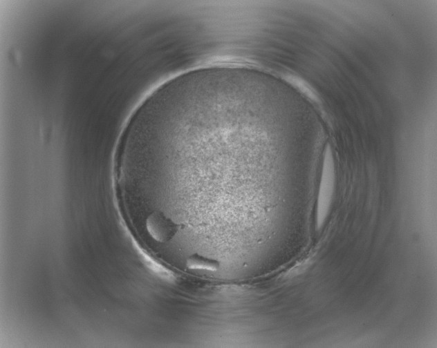 X0000068901430200605192149