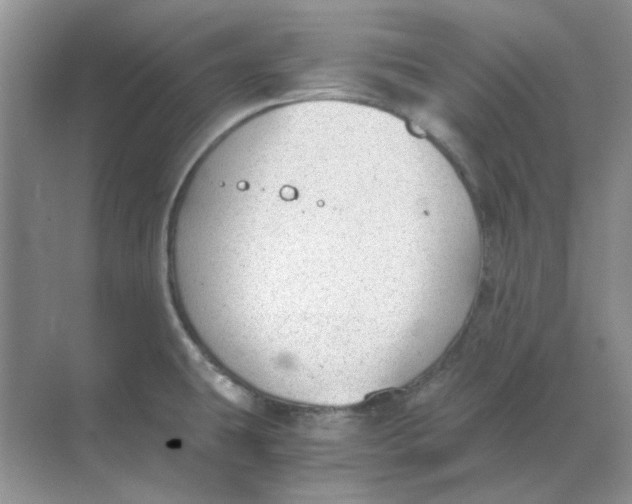 X0000068901431200605192149