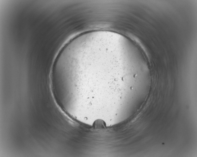 X0000068901432200605192149