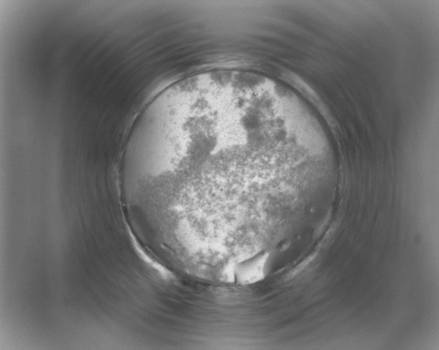 X0000068901433200605192149