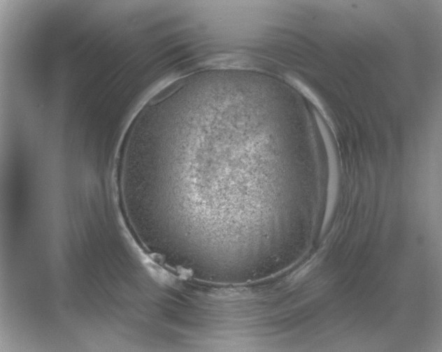 X0000068901434200605192149