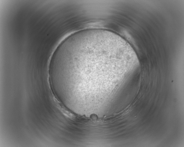 X0000068901435200605192149