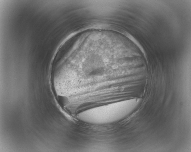 X0000068901437200605192149