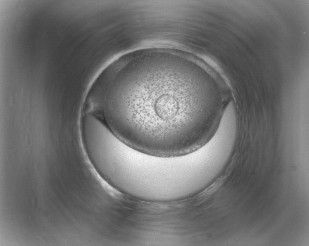 X0000068901438200605192149