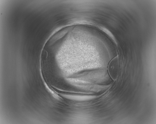 X0000068901439200605192149