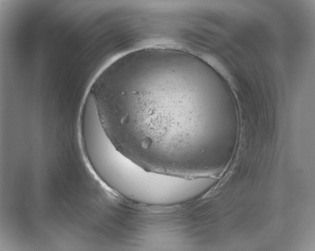 X0000068901440200605192149