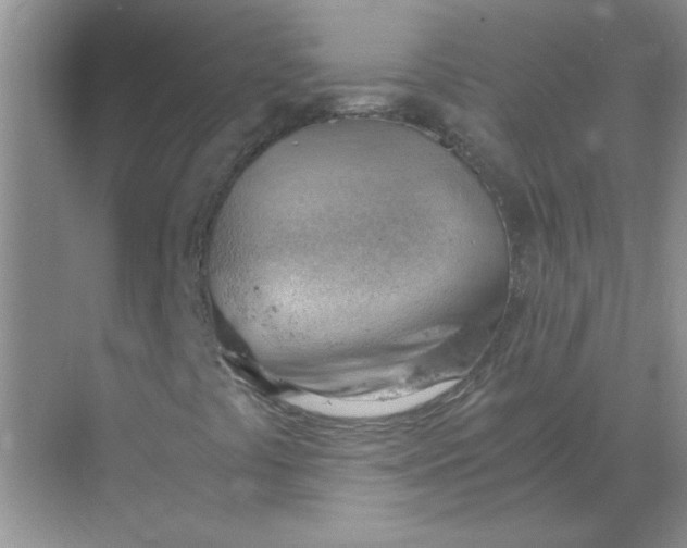 X0000068901441200605192149