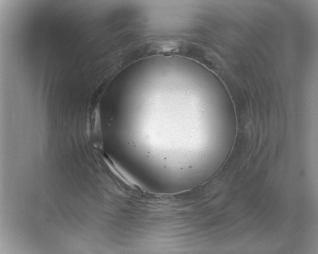 X0000068901442200605192148