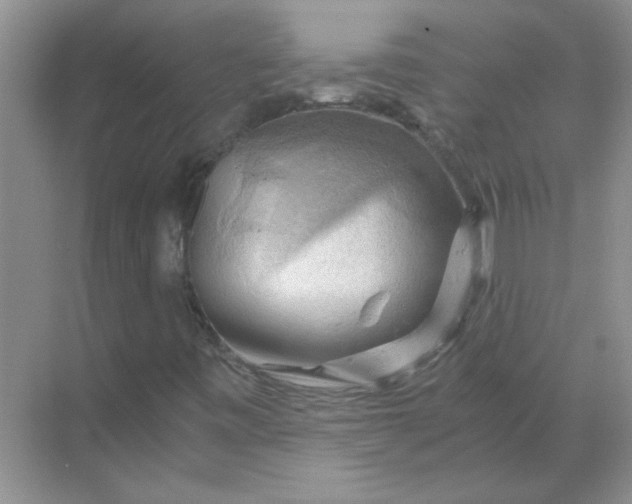 X0000068901443200605192148