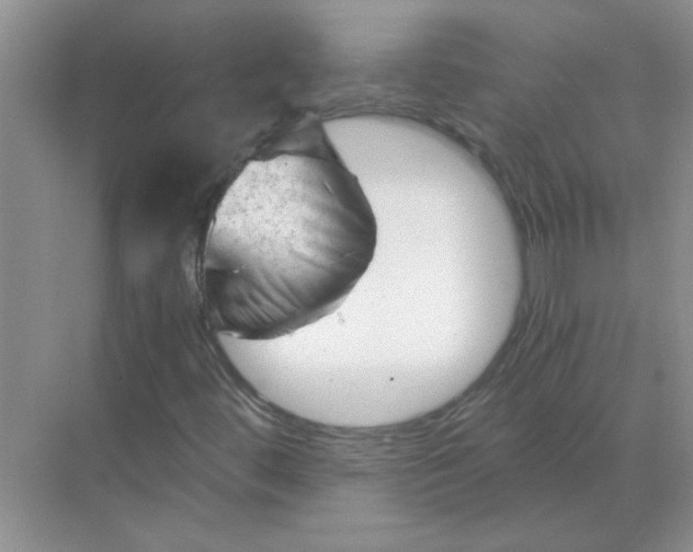 X0000068901444200605192148