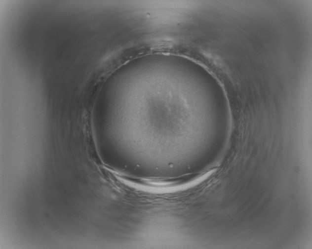 X0000068901445200605192148