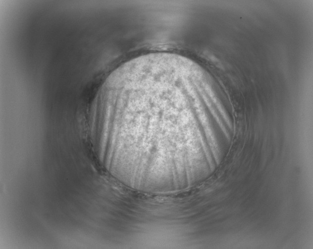 X0000068901446200605192148