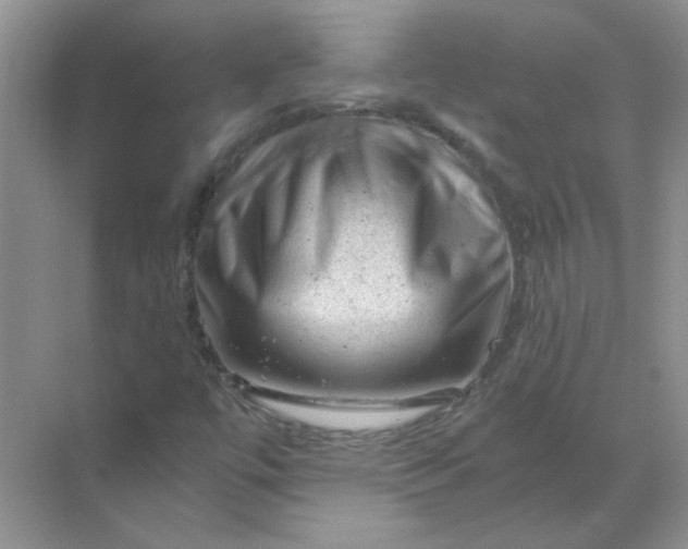 X0000068901447200605192148