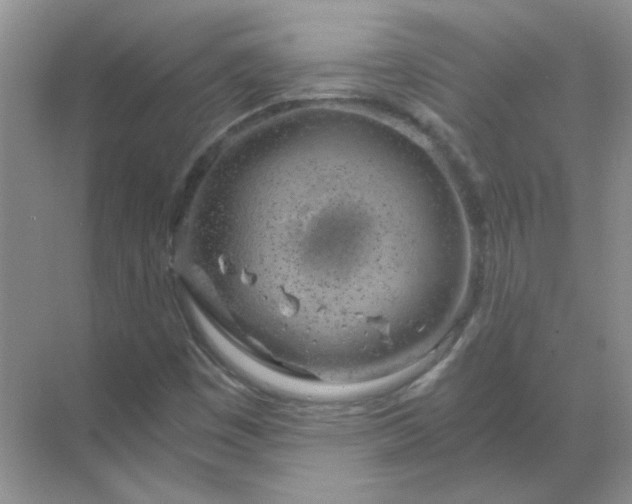 X0000068901449200605192148