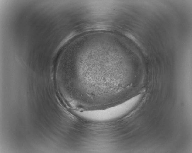 X0000068901450200605192148